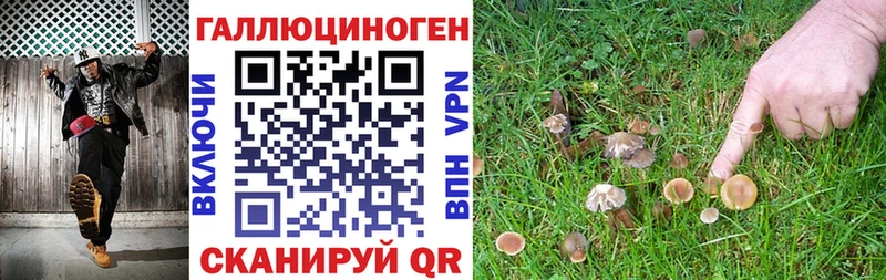 Галлюциногенные грибы Psilocybine cubensis  как найти закладки  Сальск 