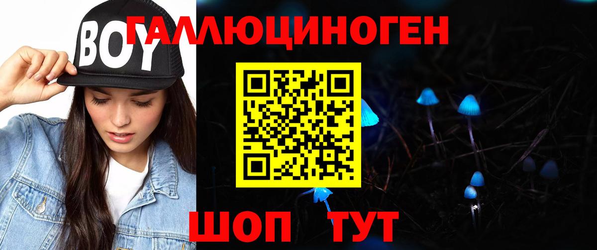 Сальск  закладки  Вход с VPN  Галлюциногенные грибы мицелий 